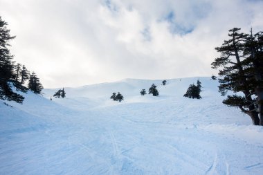 Vasilitsa kayak merkezi Grevena, Yunanistan 'ın karlı yamaçlarında nefes kesici manzara