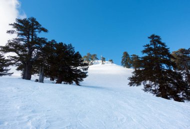 Vasilitsa kayak merkezi Grevena, Yunanistan 'ın karlı yamaçlarında nefes kesici manzara
