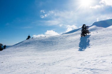 Vasilitsa kayak merkezi Grevena, Yunanistan 'ın karlı yamaçlarında nefes kesici manzara
