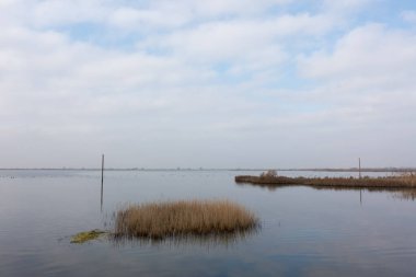 Gallikos Nehri deltasındaki güzel manzara, Kalochori, Yunanistan, pek çok kuş ve balık türü için bir sığınak. 