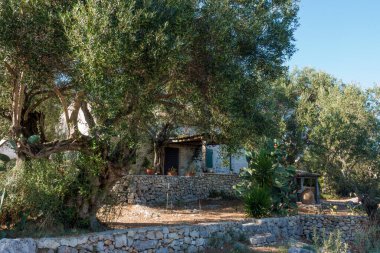 Yunanistan 'ın Othonoi adasındaki Vitsentsiatika köyünde mimarlık