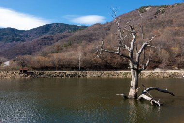 Panagitsa köyü, Pella, Yunanistan 'daki yapay göl manzarası inanılmaz.