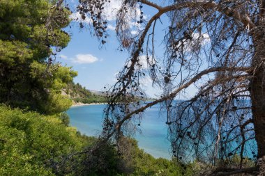 Yunanistan 'ın Kuzey Evia kentindeki deniz manzarası