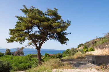 Yunanistan 'ın Kuzey Evia kentindeki eski Metaxas kalesinde toplar için terk edilmiş pozisyonlarla inanılmaz bir manzara.