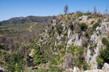 Haziran 2024, bir zamanlar Kuzey Evia 'daki Drimonas nehrinin etrafındaki muhteşem bölge, Ağustos 2021' deki korkunç yangınlardan üç yıl sonra birçok yanmış ağaçla.