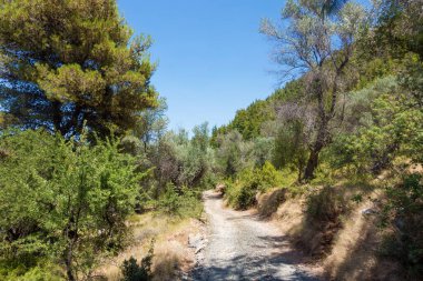 Yunanistan 'ın Kuzey Evia adasındaki muhteşem dağ manzarası