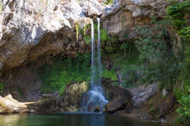 Haziran 2024, bir zamanlar Kuzey Evia 'daki Drimonas nehrinin etrafındaki muhteşem bölge, Ağustos 2021' deki korkunç yangınlardan üç yıl sonra birçok yanmış ağaçla.