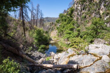Haziran 2024, bir zamanlar Kuzey Evia 'daki Drimonas nehrinin etrafındaki muhteşem bölge, Ağustos 2021' deki korkunç yangınlardan üç yıl sonra birçok yanmış ağaçla.