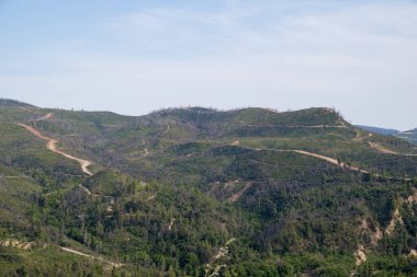 June 2024, mountainous scenery in North Evia with many burnt trees, three years after the disastrous wildfire of August 2021  clipart