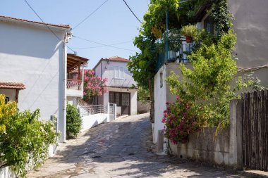Yunanistan 'ın Kuzey Evia kentindeki güzel Achladi köyünde sokak ve mimari