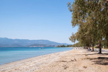 25 Haziran 2024 - Kuzey Evia, Yunanistan - Yunanistan 'ın Kavos sahilindeki inanılmaz manzara