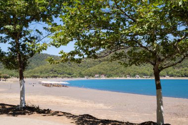 27 Haziran 2024 - Kuzey Evia, Yunanistan - Yunanistan 'ın Kuzey Evia kentindeki Pili köyünde deniz manzarası