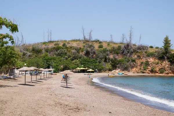 26 Haziran 2024 - Kuzey Evia, Yunanistan - Yunanistan 'ın kuzeyindeki Achladopotamo plajında deniz manzarası