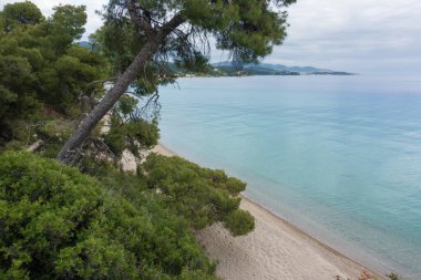 Sithonia, Chalkidiki, Yunanistan 'da deniz kenarında bulutlu bir gökyüzü altında güzel bir manzara