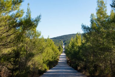 Makedonya 'nın orta kesimindeki Chalkidiki ve Yunanistan' daki muhteşem dağ manzarasından geçen yol