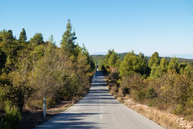 Makedonya 'nın orta kesimindeki Chalkidiki ve Yunanistan' daki muhteşem dağ manzarasından geçen yol