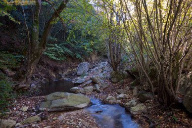 Varvara, Chalkidiki, Yunanistan 'ın küçük şelalesi yakınlarındaki şaşırtıcı dağ manzarası