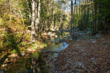 Varvara, Chalkidiki, Yunanistan 'ın küçük şelalesi yakınlarındaki şaşırtıcı dağ manzarası
