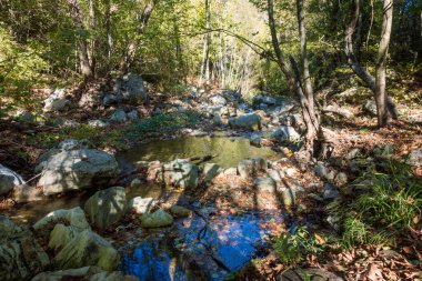 Varvara, Chalkidiki, Yunanistan 'ın küçük şelalesi yakınlarındaki şaşırtıcı dağ manzarası