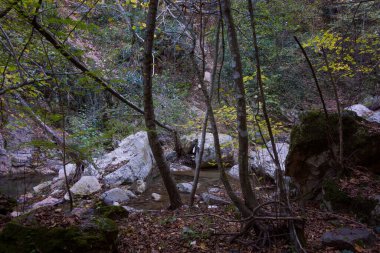 Varvara, Chalkidiki, Yunanistan 'ın küçük şelalesi yakınlarındaki şaşırtıcı dağ manzarası