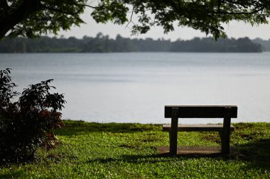 Göl kenarında boş taş sandalye.