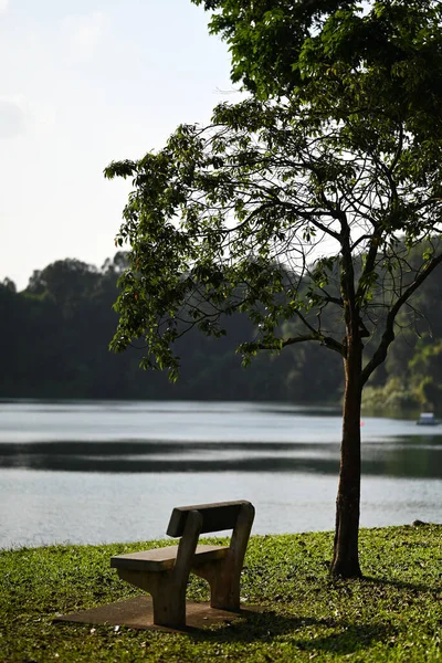 Empty stone chair by the lake