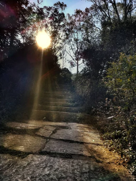 sunrays  and glowing steps surrounded by nature in a park