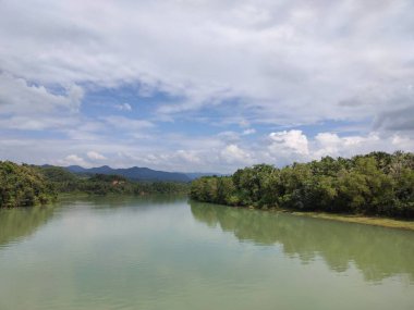 Görkemli Sharavathi Nehri, dans eden ağaçların gölgelerini yansıtan, yemyeşil bir cennette sürünerek ilerliyor..