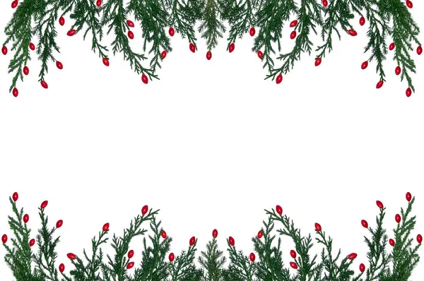 Ramas Árbol Navidad Natural Con Bayas Rojas Sobre Fondo Blanco —  Fotos de Stock
