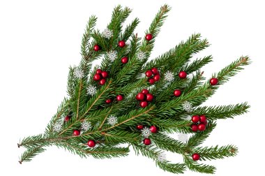 Beyaz arka planda kırmızı topları olan doğal bir ağacın Noel dalı. İzole et