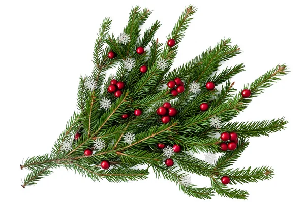 배경에 나무의 크리스마스가지 — 스톡 사진