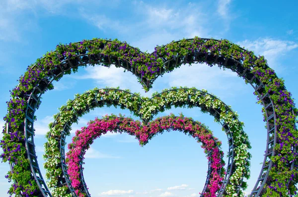 stock image Landscape installation of petunia flowers heart on the blue sky background