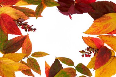 Sonbahar kompozisyonu. Çerçeve turuncu, kırmızı ve yeşil yapraklardan yapılmış. Metnin için beyaz arkaplan ve yere izole edilmiş