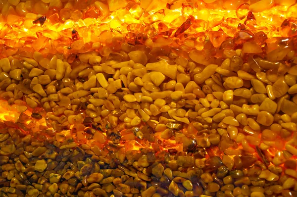 Many beautiful amber stones as a texture or background. Amber Wall.