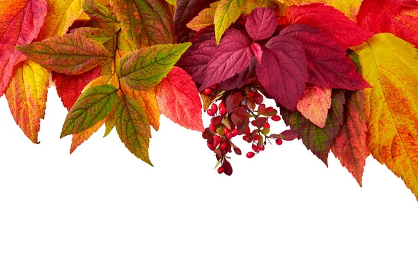 Herfstcompositie Frame Gemaakt Van Oranje Rode Groene Bladeren Geïsoleerd Witte — Stockfoto