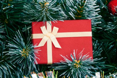 Noel kompozisyonu köknar ağacı dalları, kırmızı hediye kutusu 