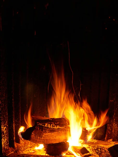 Close-up of wood burning in the fireplace. Beautiful flame fire