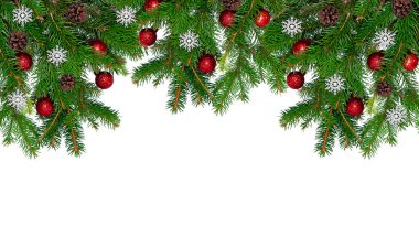 Beyaz arka planda kırmızı topları olan doğal bir ağacın Noel dalı. İzole et.