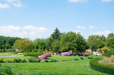 Landscaped garden with flowering bushes, paved paths, and ornamental elements. A serene outdoor scene blending nature and design