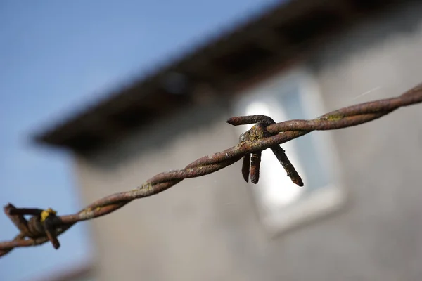 Territory fenced with barbed wire fence