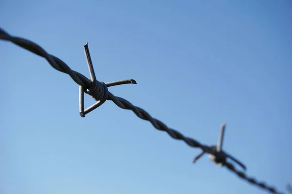 Mavi gökyüzünün altında dikenli tel