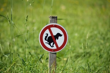 Halk parkında köpek kakası tabelası yok.