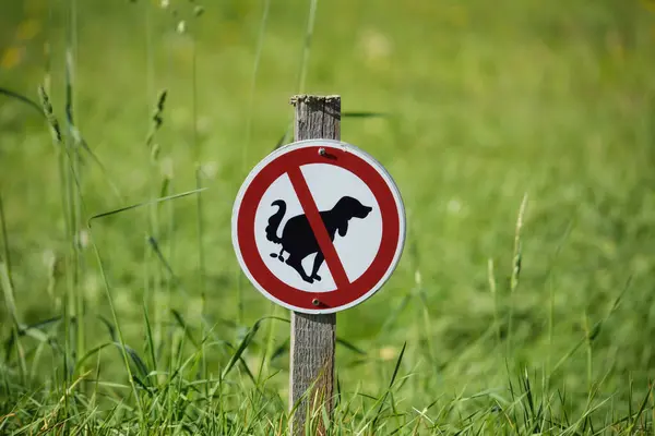 No dog poop sign on the public park
