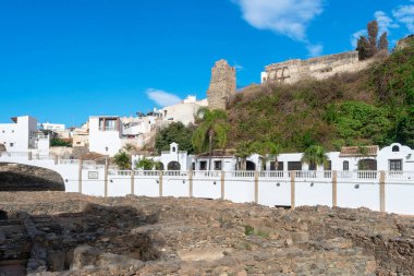 Arkeolojik kalıntılar tuzlu balık kalıntıları, İspanya 'nın Endülüs eyaletinin Granada eyaletindeki El Hawthorn Botanik Parkı. Avrupa. 29 Eylül 2022
