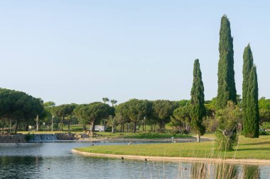 Lakes Park, Rota. Province of Cadiz. Spain. Europe. clipart