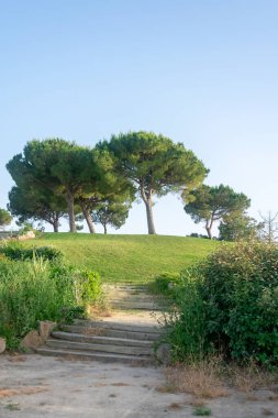 Lakes Park, Rota. Province of Cadiz. Spain. Europe. clipart