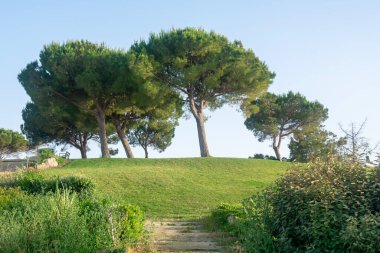 Lakes Park, Rota. Cadiz ili. İspanya. Avrupa.