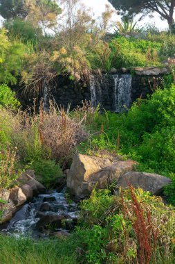 Lakes Park, Rota. Cadiz ili. İspanya. Avrupa.