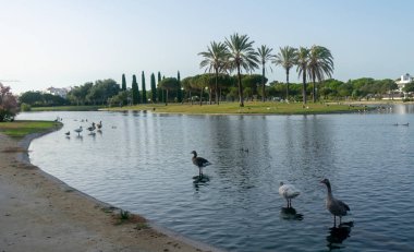 Lakes Park, Rota. Cadiz ili. İspanya. Avrupa.