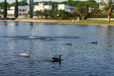 Lakes Park, Rota. Cadiz ili. İspanya. Avrupa.